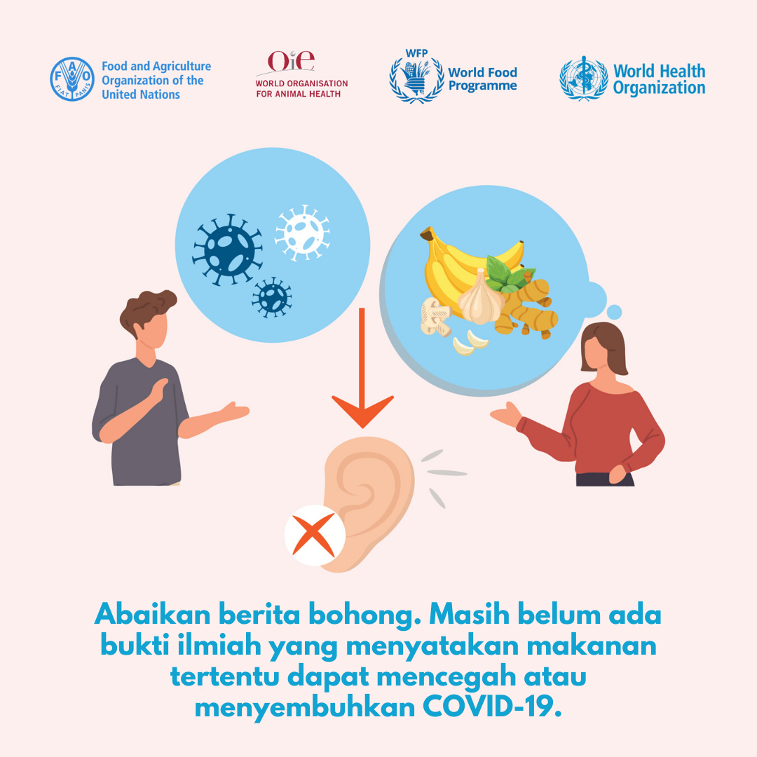 food safety 6 -  BI